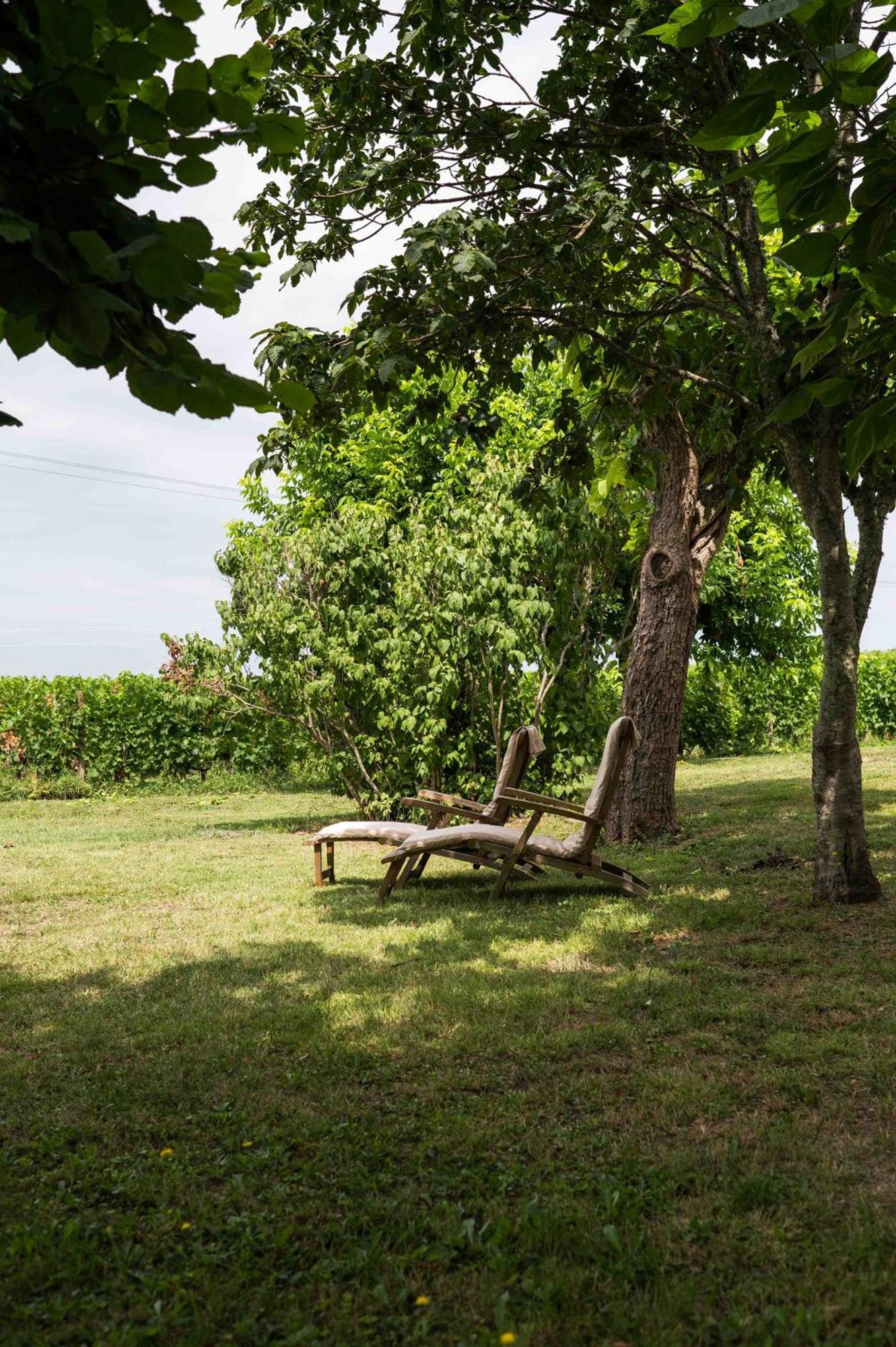 Clos De La Barbanne Montagne  Luaran gambar
