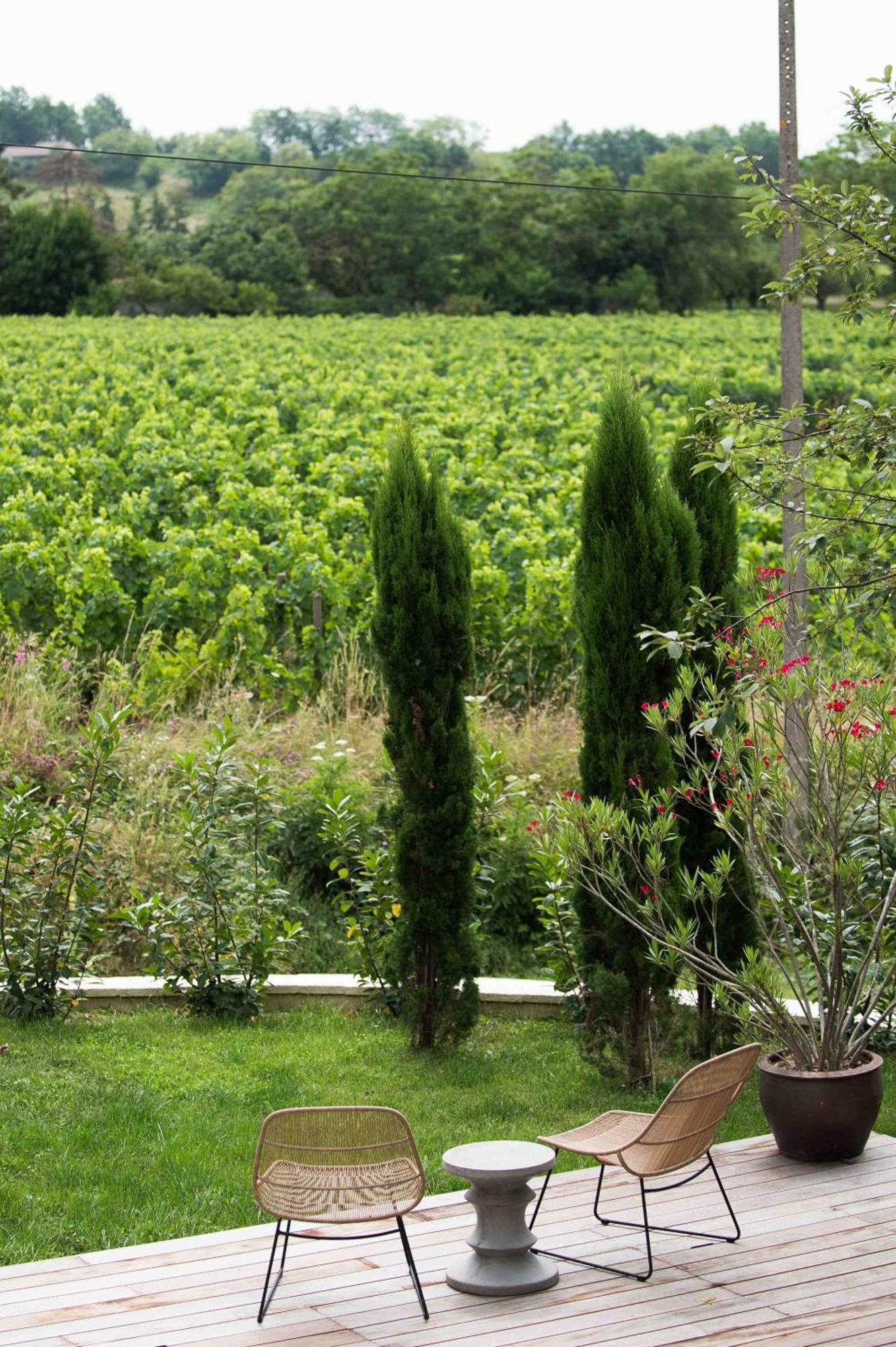 Clos De La Barbanne Montagne  Luaran gambar